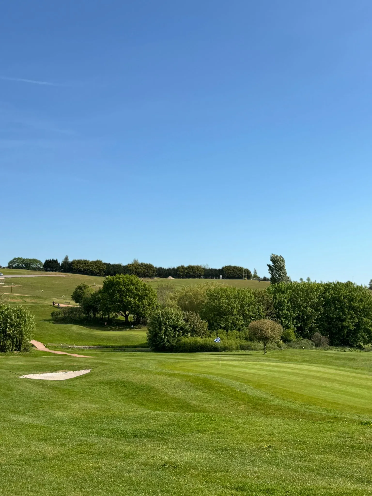 Manicured green and flag at Exminster Golf Centre